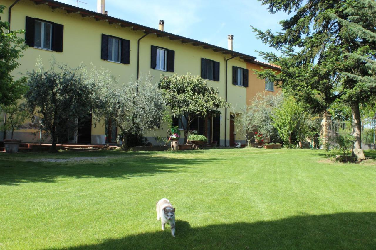 VERAMARO ACCOGLIENTE APPARTAMENTO IN CAMPAGNA AREZZO Italia da